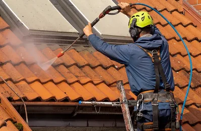 Démoussage et hydrofuge de toiture à Perreux